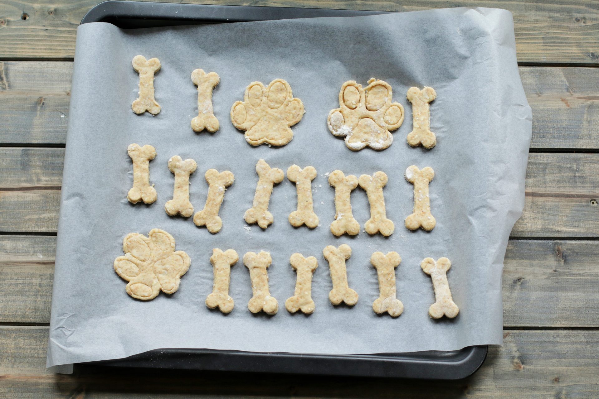 biscotti per cani